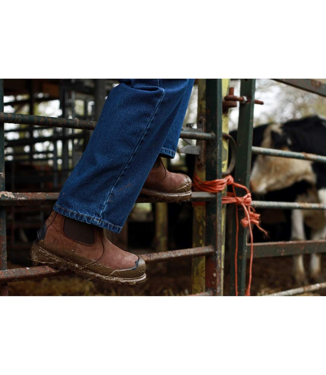 Safety Fs225 Safety Boot / Mens Boots Brown Amblers-1