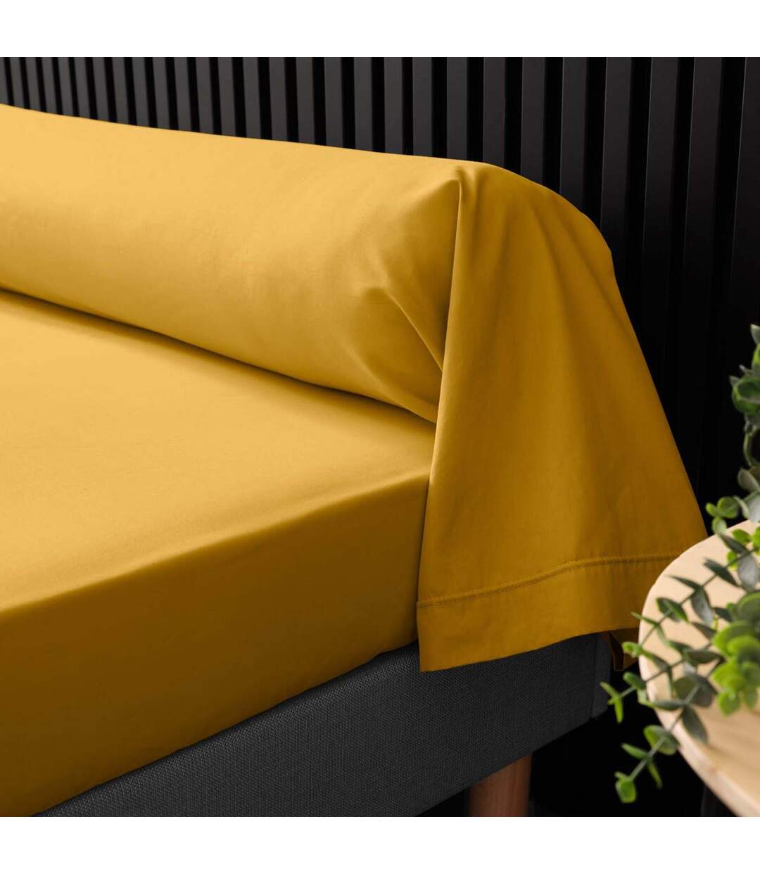 Taie de Traversin Percaline 85x185cm Curry-3