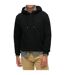 Sweat à Capuche Superdry Essential Logo Hoodie-3