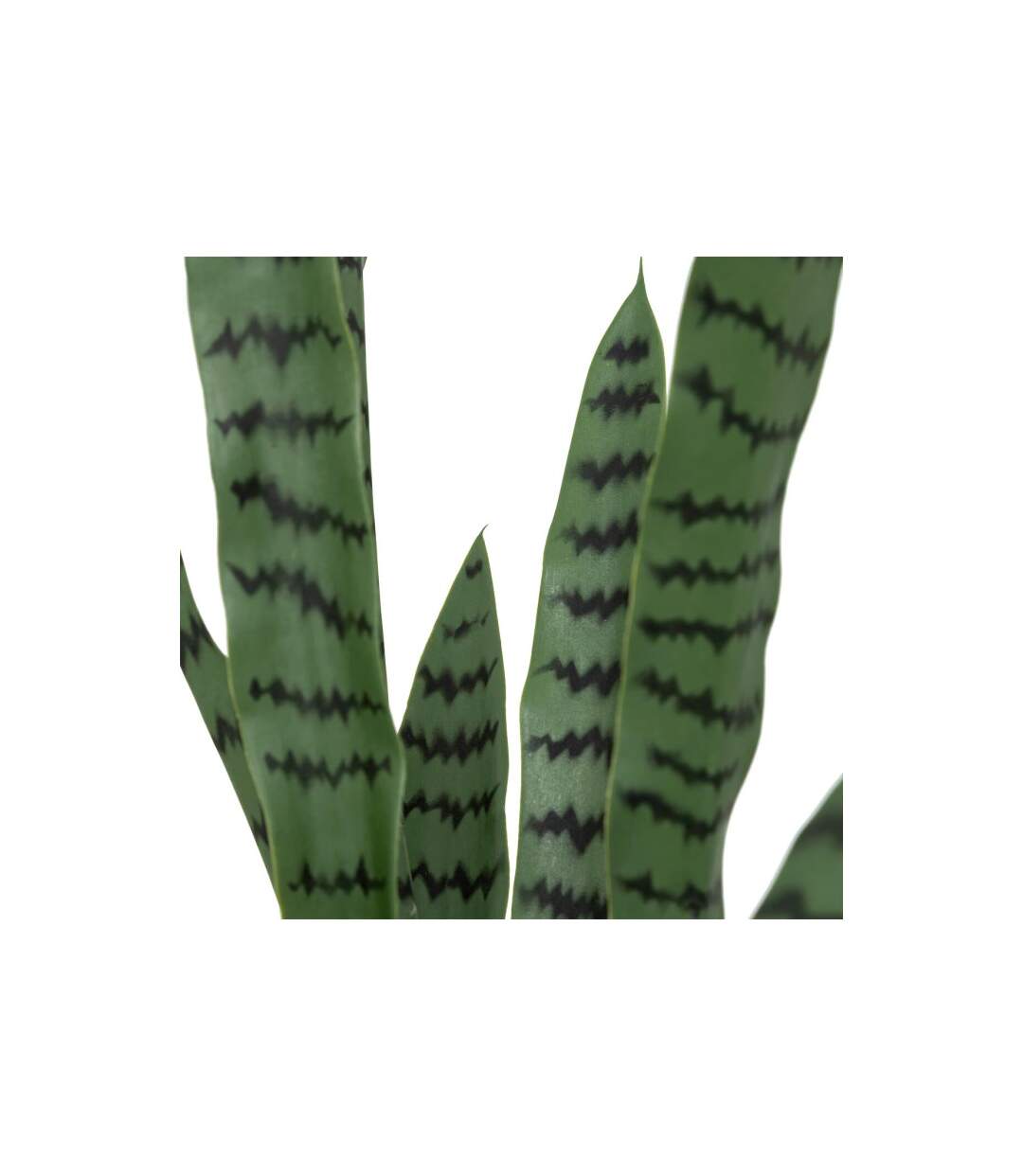 Plante Artificielle Sansevieria Toby 90cm Vert-2