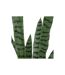 Plante Artificielle Sansevieria Toby 90cm Vert-2