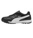 Mens Liga Astro Turf Trainers  Black Puma-2