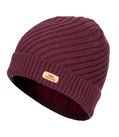 Trespass Womens/Ladies Twisted Knitted Beanie (Fig)
