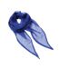 Écharpe Femme Taille Unique Bleu Roi Premier-2