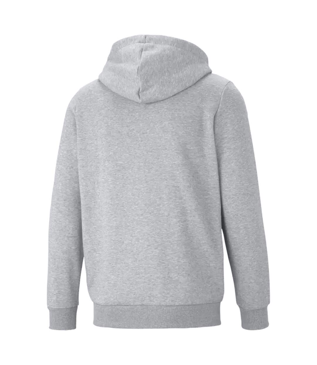 Puma Womens/Ladies ESS Logo Hoodie (Gray) - UTRD1923