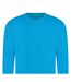 Sweat Adulte Bleu Hawaïen Awdis-2