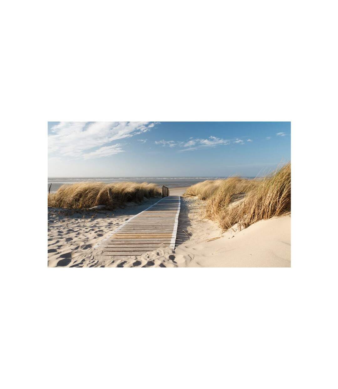 Papier Peint Plage Mer du Nord Langeoog II 450x270cm-2