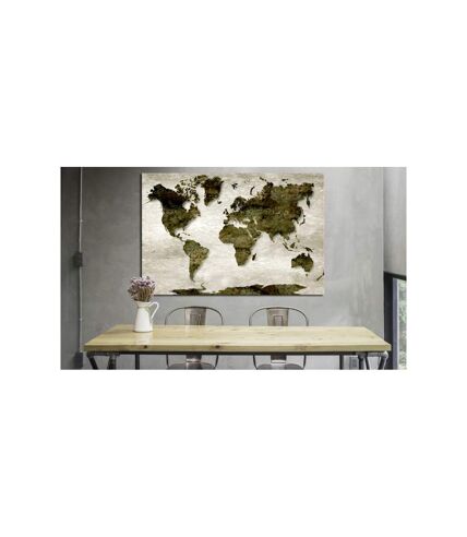 Paris Prix - Tableau Imprimé world Map : Green Planet 40x60cm