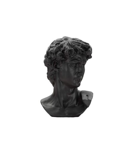 Statue Tête Homme Irvin 60cm Noir