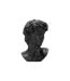 Statue Tête Homme Irvin 60cm Noir-2