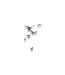 Papier Peint Free Birds 50x1000cm-2