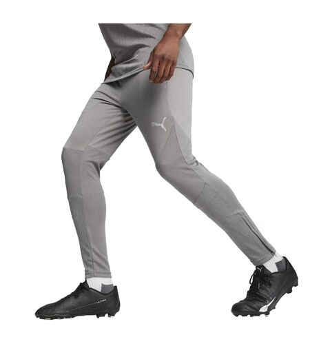 Mens Teamfinal Tailored Tracksuit Bottoms Iron Grey Silver Grey Puma