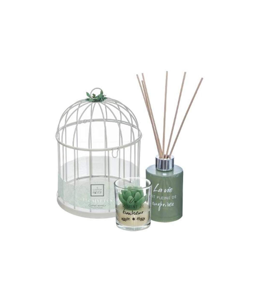 Coffret de Fragrances Cage 20cm Eucalyptus