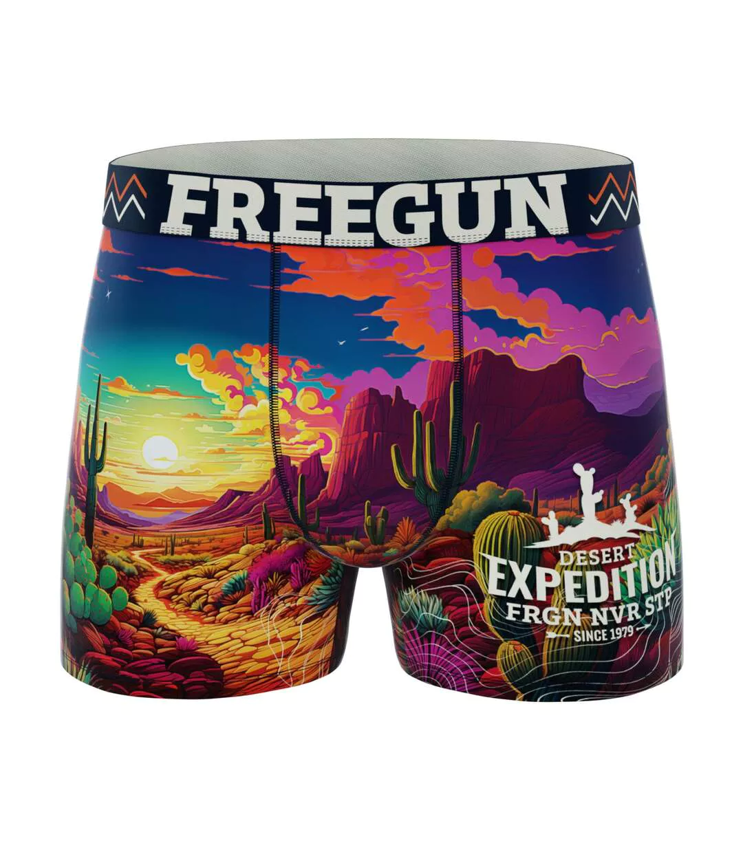 Lot de 4 boxers homme Vibrant  Freegun-4
