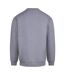 Sweat Vision Homme Gris Chiné Awdis-2