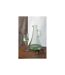 Carafe Design en Verre Thelma 34cm Vert-3