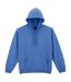 Sweat À Capuche Adulte Bleuet Clair Gildan-1