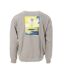 Sweat Gris Homme Adidas Alba - L-2