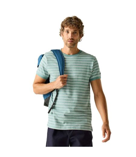 Mens Benlin Striped T-shirt Arctic White Regatta