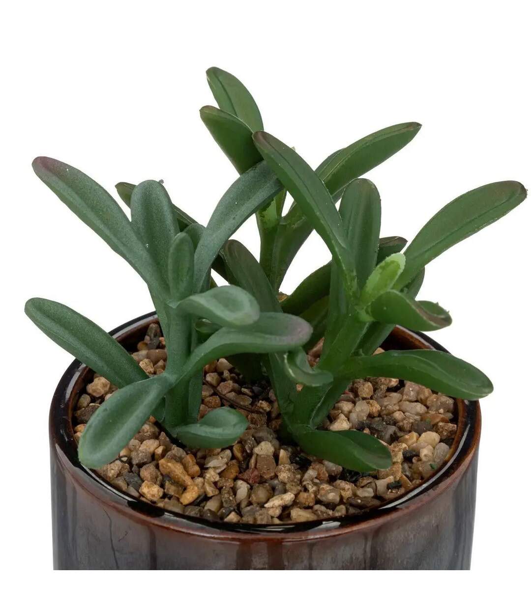 Plante Artificielle en Pot Déco Bota 14cm Noir-2