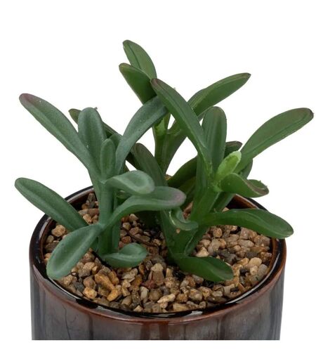 Plante Artificielle en Pot Déco Bota 14cm Noir