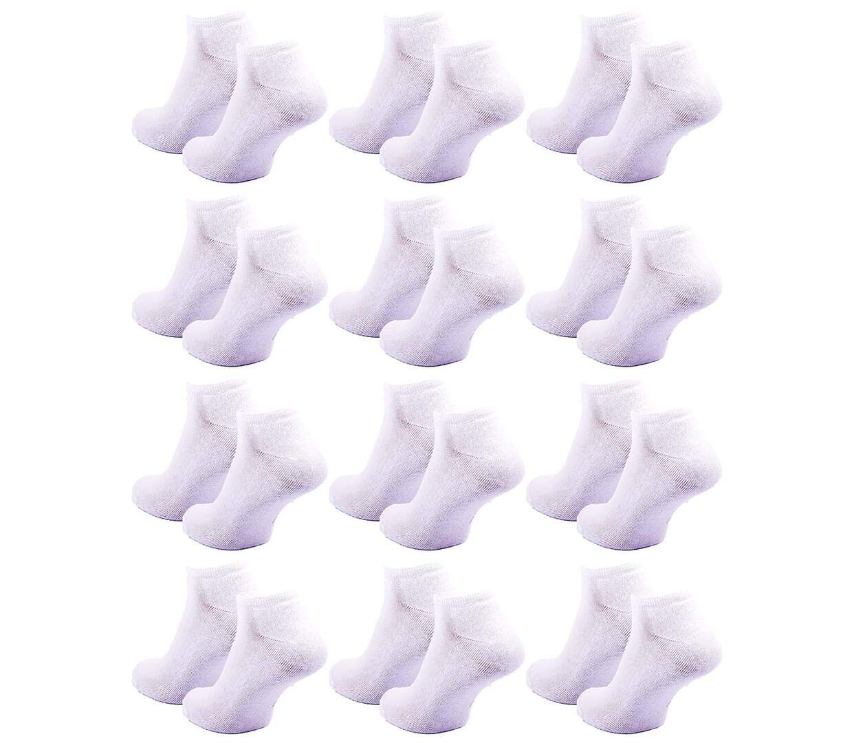 Chaussettes SERGIO TACCHINI SNEAKER 12 Pcs 6062 BOUCLETTE-3