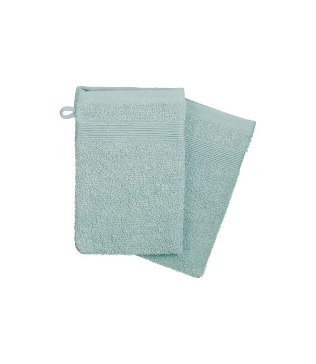 Lot de 2 Gants de Toilette Confort 15x21cm Givre-1