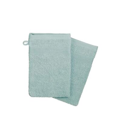 Lot de 2 Gants de Toilette Confort 15x21cm Givre