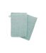 Lot de 2 Gants de Toilette Confort 15x21cm Givre