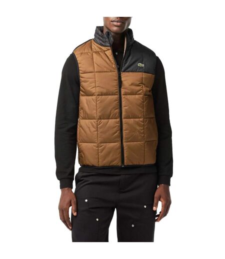 Doudoune sans manches homme marron Lacoste