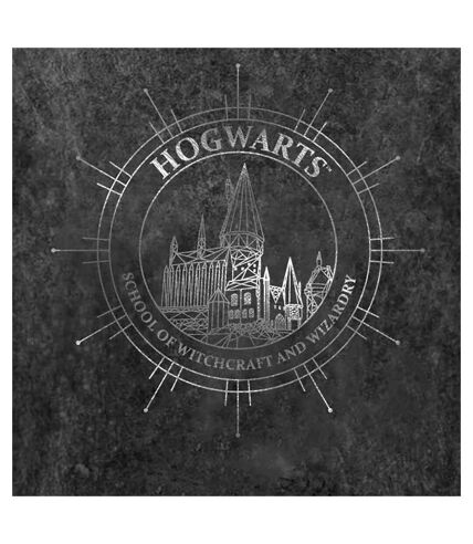 Harry Potter Womens/Ladies Hogwarts Constellation Acid Wash T-Shirt (Black)
