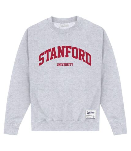 Park Fields Unisex Adult Stanford University Script Sweatshirt (Gray) - UTPN311
