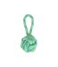 Paris Prix - Jouet Pour Chien corde Balle 1 Poignée 27cm Vert