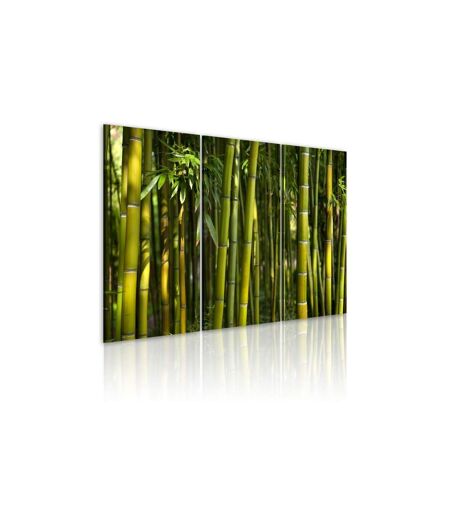 Paris Prix - Tableau Imprimé bambou & Vert 40x60cm