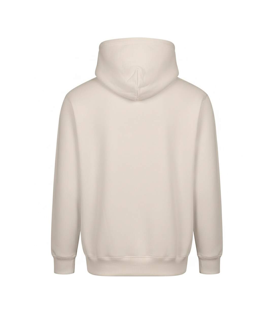 Sweat À Capuche Vision Homme Pierre Naturelle Awdis-2