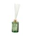 Diffuseur de Parfum Design Elie 200ml Apple Blossom-1