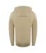 Sweat À Capuche Motif Logo Bloc Homme Beige Ice Iceberg-2