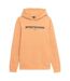 Sweat À Capuche Ss23tswsm266 Homme Beige 4F-1