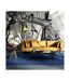 Papier Peint Saxophone Recital on Broadway II 270x450cm-1
