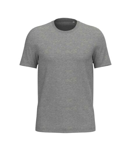 T-shirt Adulte Gris Clair Chiné Native Spirit