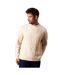 Pull à col ras du cou en maille torsadée pour hommes blanc cassé Burton Burton