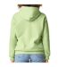 Sweat à capuche softstyle adulte vert pistache Gildan Gildan