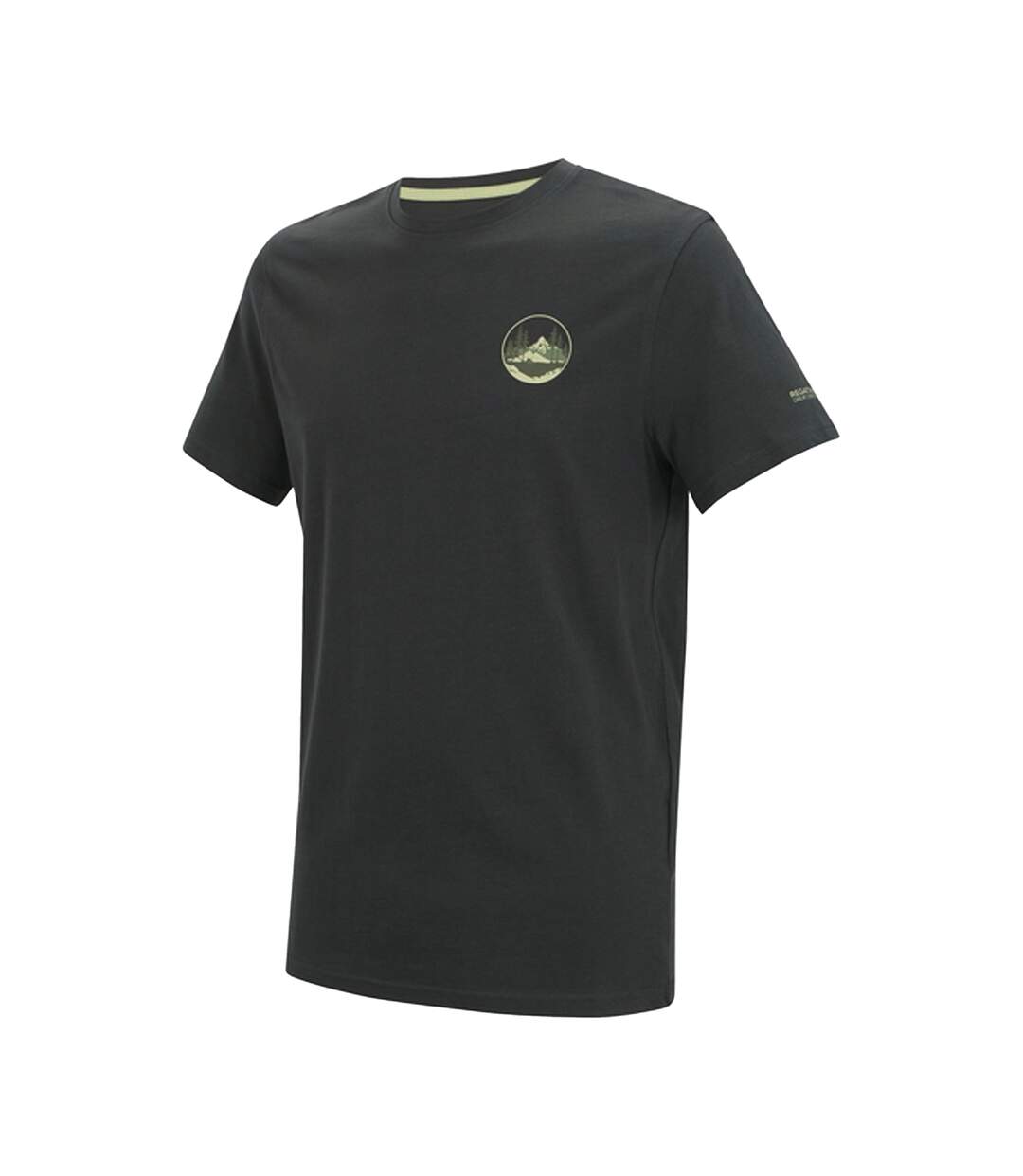 Mens Breezed Circle Mountain T-shirt Ash Regatta-4