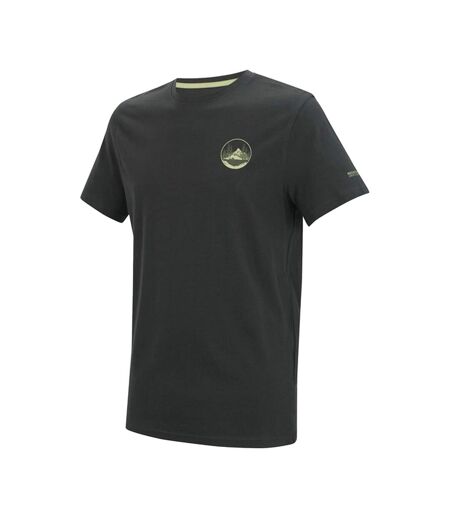 Mens Breezed Circle Mountain T-shirt Ash Regatta
