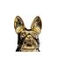 Statuette Déco Design Bulldog 22cm Or-2