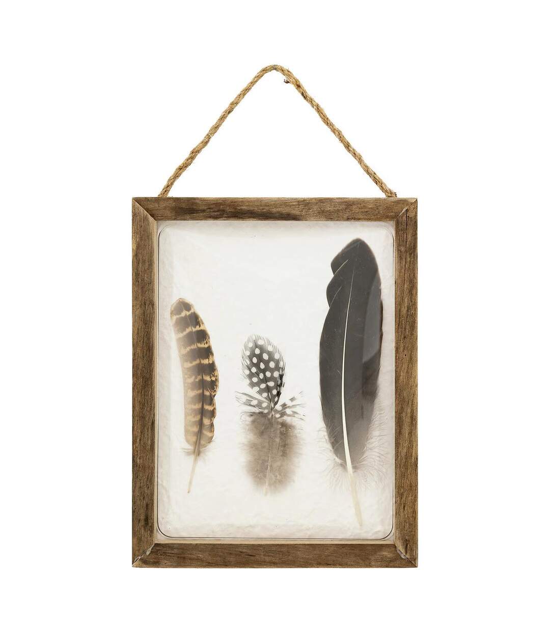 Déco Murale Bombée Plumes Jonas 34cm Marron-1