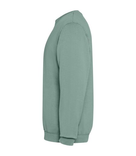 Sweat Jaya Adulte Vert Foncé Roly