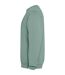 Sweat Jaya Adulte Vert Foncé Roly-3