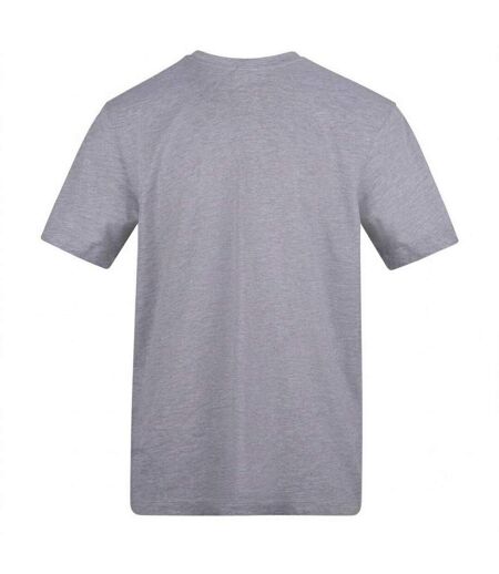 Unisex Adult Chest Logo T-shirt Grey Loyalti