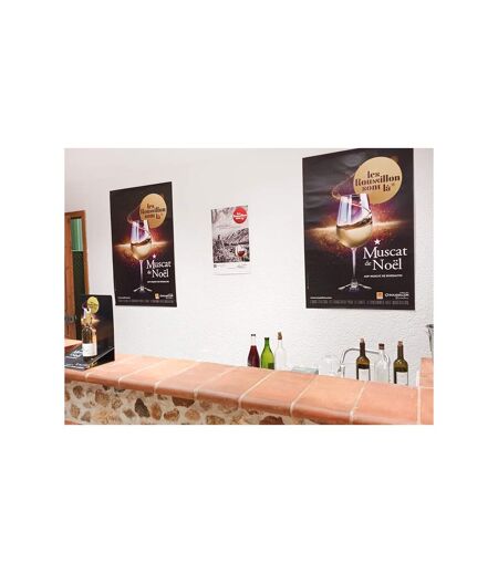 Visite d’un domaine viticole près de Perpignan avec dégustation et 6 bouteilles offertes - SMARTBOX - Coffret Cadeau Gastronomie